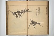 Kan'yōsai Picture Album (Kan'yōsai gafu) 寒葉斎画譜, Kan&#39;yōsai 寒葉斎 (Tatebe Ayatari 建部綾足) (Japanese, 1719–1774), Set of three woodblock printed books; ink on paper, Japan