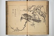 Kan'yōsai Picture Album (Kan'yōsai gafu) 寒葉斎画譜, Kan&#39;yōsai 寒葉斎 (Tatebe Ayatari 建部綾足) (Japanese, 1719–1774), Set of three woodblock printed books; ink on paper, Japan