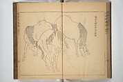 Kan'yōsai Picture Album (Kan'yōsai gafu) 寒葉斎画譜, Kan&#39;yōsai 寒葉斎 (Tatebe Ayatari 建部綾足) (Japanese, 1719–1774), Set of three woodblock printed books; ink on paper, Japan