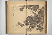 Kan'yōsai Picture Album (Kan'yōsai gafu) 寒葉斎画譜, Kan&#39;yōsai 寒葉斎 (Tatebe Ayatari 建部綾足) (Japanese, 1719–1774), Set of three woodblock printed books; ink on paper, Japan