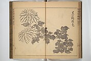 Kan'yōsai Picture Album (Kan'yōsai gafu) 寒葉斎画譜, Kan&#39;yōsai 寒葉斎 (Tatebe Ayatari 建部綾足) (Japanese, 1719–1774), Set of three woodblock printed books; ink on paper, Japan