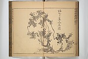 Kan'yōsai Picture Album (Kan'yōsai gafu) 寒葉斎画譜, Kan&#39;yōsai 寒葉斎 (Tatebe Ayatari 建部綾足) (Japanese, 1719–1774), Set of three woodblock printed books; ink on paper, Japan