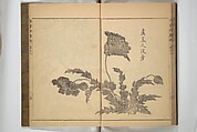 Kan'yōsai Picture Album (Kan'yōsai gafu) 寒葉斎画譜, Kan&#39;yōsai 寒葉斎 (Tatebe Ayatari 建部綾足) (Japanese, 1719–1774), Set of three woodblock printed books; ink on paper, Japan
