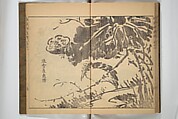 Kan'yōsai Picture Album (Kan'yōsai gafu) 寒葉斎画譜, Kan&#39;yōsai 寒葉斎 (Tatebe Ayatari 建部綾足) (Japanese, 1719–1774), Set of three woodblock printed books; ink on paper, Japan