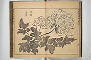 Kan'yōsai Picture Album (Kan'yōsai gafu) 寒葉斎画譜, Kan&#39;yōsai 寒葉斎 (Tatebe Ayatari 建部綾足) (Japanese, 1719–1774), Set of three woodblock printed books; ink on paper, Japan