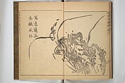 Kan'yōsai Picture Album (Kan'yōsai gafu) 寒葉斎画譜, Kan&#39;yōsai 寒葉斎 (Tatebe Ayatari 建部綾足) (Japanese, 1719–1774), Set of three woodblock printed books; ink on paper, Japan