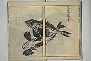 Kan'yōsai Picture Album (Kan'yōsai gafu) 寒葉斎画譜, Kan&#39;yōsai 寒葉斎 (Tatebe Ayatari 建部綾足) (Japanese, 1719–1774), Set of five woodblock printed books; ink on paper, Japan