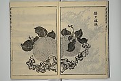 Kan'yōsai Picture Album (Kan'yōsai gafu) 寒葉斎画譜, Kan&#39;yōsai 寒葉斎 (Tatebe Ayatari 建部綾足) (Japanese, 1719–1774), Set of five woodblock printed books; ink on paper, Japan