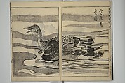 Kan'yōsai Picture Album (Kan'yōsai gafu) 寒葉斎画譜, Kan&#39;yōsai 寒葉斎 (Tatebe Ayatari 建部綾足) (Japanese, 1719–1774), Set of five woodblock printed books; ink on paper, Japan