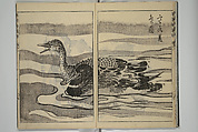 Kan'yōsai Picture Album (Kan'yōsai gafu) 寒葉斎画譜, Kan'yōsai 寒葉斎 (Tatebe Ayatari 建部綾足) (Japanese, 1719–1774), Set of five woodblock printed books; ink on paper, Japan
