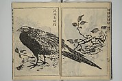 Kan'yōsai Picture Album (Kan'yōsai gafu) 寒葉斎画譜, Kan&#39;yōsai 寒葉斎 (Tatebe Ayatari 建部綾足) (Japanese, 1719–1774), Set of five woodblock printed books; ink on paper, Japan