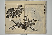 Kan'yōsai Picture Album (Kan'yōsai gafu) 寒葉斎画譜, Kan&#39;yōsai 寒葉斎 (Tatebe Ayatari 建部綾足) (Japanese, 1719–1774), Set of five woodblock printed books; ink on paper, Japan