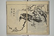 Kan'yōsai Picture Album (Kan'yōsai gafu) 寒葉斎画譜, Kan&#39;yōsai 寒葉斎 (Tatebe Ayatari 建部綾足) (Japanese, 1719–1774), Set of five woodblock printed books; ink on paper, Japan