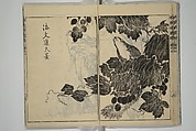 Kan'yōsai Picture Album (Kan'yōsai gafu) 寒葉斎画譜, Kan&#39;yōsai 寒葉斎 (Tatebe Ayatari 建部綾足) (Japanese, 1719–1774), Set of five woodblock printed books; ink on paper, Japan
