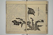 Kan'yōsai Picture Album (Kan'yōsai gafu) 寒葉斎画譜, Kan&#39;yōsai 寒葉斎 (Tatebe Ayatari 建部綾足) (Japanese, 1719–1774), Set of five woodblock printed books; ink on paper, Japan