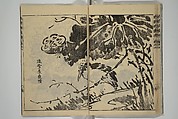 Kan'yōsai Picture Album (Kan'yōsai gafu) 寒葉斎画譜, Kan&#39;yōsai 寒葉斎 (Tatebe Ayatari 建部綾足) (Japanese, 1719–1774), Set of five woodblock printed books; ink on paper, Japan