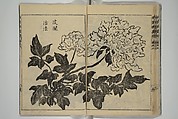 Kan'yōsai Picture Album (Kan'yōsai gafu) 寒葉斎画譜, Kan&#39;yōsai 寒葉斎 (Tatebe Ayatari 建部綾足) (Japanese, 1719–1774), Set of five woodblock printed books; ink on paper, Japan