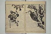 Kan'yōsai Picture Album (Kan'yōsai gafu) 寒葉斎画譜, Kan&#39;yōsai 寒葉斎 (Tatebe Ayatari 建部綾足) (Japanese, 1719–1774), Set of five woodblock printed books; ink on paper, Japan