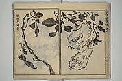 Kan'yōsai Picture Album (Kan'yōsai gafu) 寒葉斎画譜, Kan&#39;yōsai 寒葉斎 (Tatebe Ayatari 建部綾足) (Japanese, 1719–1774), Set of five woodblock printed books; ink on paper, Japan