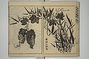Kan'yōsai Picture Album (Kan'yōsai gafu) 寒葉斎画譜, Kan&#39;yōsai 寒葉斎 (Tatebe Ayatari 建部綾足) (Japanese, 1719–1774), Set of five woodblock printed books; ink on paper, Japan