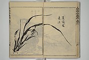 Kan'yōsai Picture Album (Kan'yōsai gafu) 寒葉斎画譜, Kan&#39;yōsai 寒葉斎 (Tatebe Ayatari 建部綾足) (Japanese, 1719–1774), Set of five woodblock printed books; ink on paper, Japan