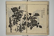 Kan'yōsai Picture Album (Kan'yōsai gafu) 寒葉斎画譜, Kan&#39;yōsai 寒葉斎 (Tatebe Ayatari 建部綾足) (Japanese, 1719–1774), Set of five woodblock printed books; ink on paper, Japan