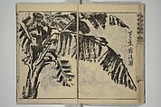 Kan'yōsai Picture Album (Kan'yōsai gafu) 寒葉斎画譜, Kan&#39;yōsai 寒葉斎 (Tatebe Ayatari 建部綾足) (Japanese, 1719–1774), Set of five woodblock printed books; ink on paper, Japan