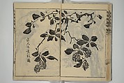 Kan'yōsai Picture Album (Kan'yōsai gafu) 寒葉斎画譜, Kan&#39;yōsai 寒葉斎 (Tatebe Ayatari 建部綾足) (Japanese, 1719–1774), Set of five woodblock printed books; ink on paper, Japan