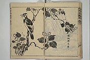 Kan'yōsai Picture Album (Kan'yōsai gafu) 寒葉斎画譜, Kan&#39;yōsai 寒葉斎 (Tatebe Ayatari 建部綾足) (Japanese, 1719–1774), Set of five woodblock printed books; ink on paper, Japan