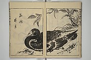 Kan'yōsai Picture Album (Kan'yōsai gafu) 寒葉斎画譜, Kan&#39;yōsai 寒葉斎 (Tatebe Ayatari 建部綾足) (Japanese, 1719–1774), Set of five woodblock printed books; ink on paper, Japan