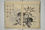 Kan'yōsai Picture Album (Kan'yōsai gafu) 寒葉斎画譜, Kan&#39;yōsai 寒葉斎 (Tatebe Ayatari 建部綾足) (Japanese, 1719–1774), Set of five woodblock printed books; ink on paper, Japan