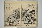 Kan'yōsai Picture Album (Kan'yōsai gafu) 寒葉斎画譜, Kan&#39;yōsai 寒葉斎 (Tatebe Ayatari 建部綾足) (Japanese, 1719–1774), Set of five woodblock printed books; ink on paper, Japan