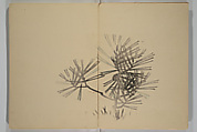Kinkadō's Album of Drawings by Keibun (Keibun Kinka chō) 景文錦華帖, Matsumura Keibun 松村景文 (Japanese, 1779–1843), Woodblock printed book (orihon, accordion-style); ink and color on paper, Japan