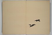 Kinkadō's Album of Drawings by Keibun (Keibun Kinka chō) 景文錦華帖, Matsumura Keibun 松村景文 (Japanese, 1779–1843), Woodblock printed book (orihon, accordion-style); ink and color on paper, Japan