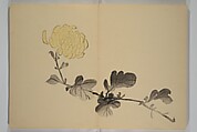 Kinkadō's Album of Drawings by Keibun (Keibun Kinka chō) 景文錦華帖, Matsumura Keibun 松村景文 (Japanese, 1779–1843), Woodblock printed book (orihon, accordion-style); ink and color on paper, Japan