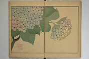 Kigyoku Picture Album (Kigyoku gafu) 其玉画譜, After Seizei Kigyoku 其玉 (Japanese, 1732–1756), Woodblock printed book; ink and color on paper, Japan