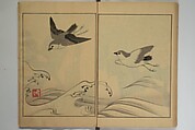 Kigyoku Picture Album (Kigyoku gafu) 其玉画譜, After Seizei Kigyoku 其玉 (Japanese, 1732–1756), Woodblock printed book; ink and color on paper, Japan