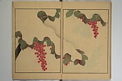 Kigyoku Picture Album (Kigyoku gafu) 其玉画譜, After Seizei Kigyoku 其玉 (Japanese, 1732–1756), Woodblock printed book; ink and color on paper, Japan
