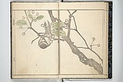 Kihō Picture Album (Kihō gafu) 埼鳳画譜, Kawamura Kihō 河村琦鳳 (Japanese, 1778–1852), Woodblock printed book; ink and color on paper, Japan