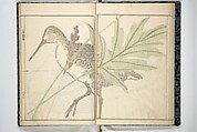 Kihō Picture Album (Kihō gafu) 埼鳳画譜, Kawamura Kihō 河村琦鳳 (Japanese, 1778–1852), Woodblock printed book; ink and color on paper, Japan
