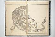 Kihō Picture Album (Kihō gafu) 埼鳳画譜, Kawamura Kihō 河村琦鳳 (Japanese, 1778–1852), Woodblock printed book; ink and color on paper, Japan