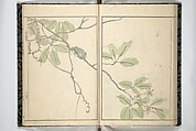 Kihō Picture Album (Kihō gafu) 埼鳳画譜, Kawamura Kihō 河村琦鳳 (Japanese, 1778–1852), Woodblock printed book; ink and color on paper, Japan