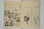 One Hundred Paintings by Kōrin (Kōrin hyakuzu)  光琳百圖, Sakai Hōitsu 酒井抱一 (Japanese, 1761–1828), Set of four woodblock printed books; ink on paper, Japan