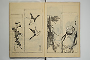 One Hundred Paintings by Kōrin (Kōrin hyakuzu)  光琳百圖, Sakai Hōitsu 酒井抱一 (Japanese, 1761–1828), Set of four woodblock printed books; ink on paper, Japan