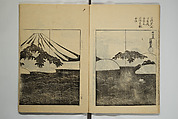 One Hundred Paintings by Kōrin (Kōrin hyakuzu)  光琳百圖, Sakai Hōitsu 酒井抱一 (Japanese, 1761–1828), Set of four woodblock printed books; ink on paper, Japan