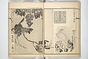 Kyōsai’s Treatise on Painting (Kyōsai gadan) 暁斎画談, Kawanabe Kyōsai 河鍋暁斎 (Japanese, 1831–1889), Set of four woodblock printed books; ink and color on paper, Japan