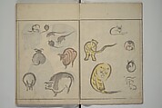 How to Draw Birds, Insects and Fish Simply (Chōjū ryakugashiki) 鳥獣略画式, Kuwagata Keisai 鍬形蕙斎 (Japanese, 1764–1824), Woodblock printed book; ink and color on paper, Japan
