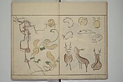 How to Draw Birds, Insects and Fish Simply (Chōjū ryakugashiki) 鳥獣略画式, Kuwagata Keisai 鍬形蕙斎 (Japanese, 1764–1824), Woodblock printed book; ink and color on paper, Japan
