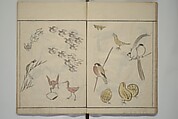 How to Draw Birds, Insects and Fish Simply (Chōjū ryakugashiki) 鳥獣略画式, Kuwagata Keisai 鍬形蕙斎 (Japanese, 1764–1824), Woodblock printed book; ink and color on paper, Japan