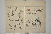 How to Draw Birds, Insects and Fish Simply (Chōjū ryakugashiki) 鳥獣略画式, Kuwagata Keisai 鍬形蕙斎 (Japanese, 1764–1824), Woodblock printed book; ink and color on paper, Japan